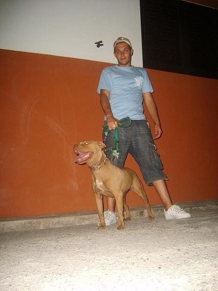 Flay (2)