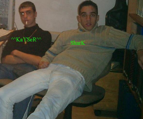 KayserShark